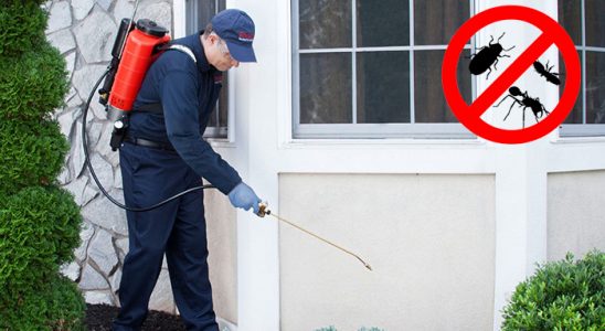 Kıbrıscık Kemirgen İlaçlama böcek ilaçlama ve haşere kontrolü — ilaclama-tr.com
